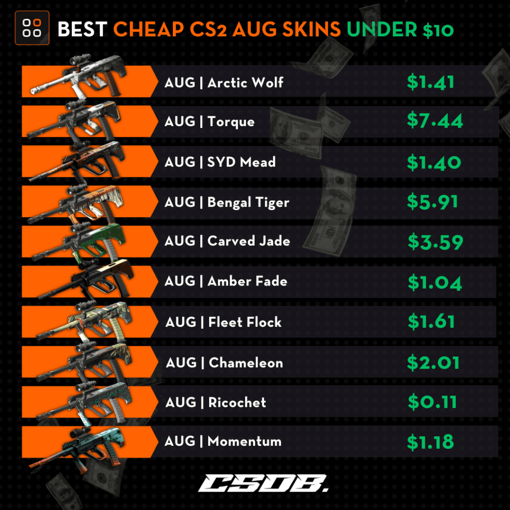 BEST Cheap CS2 AUG Skins Under $10 2