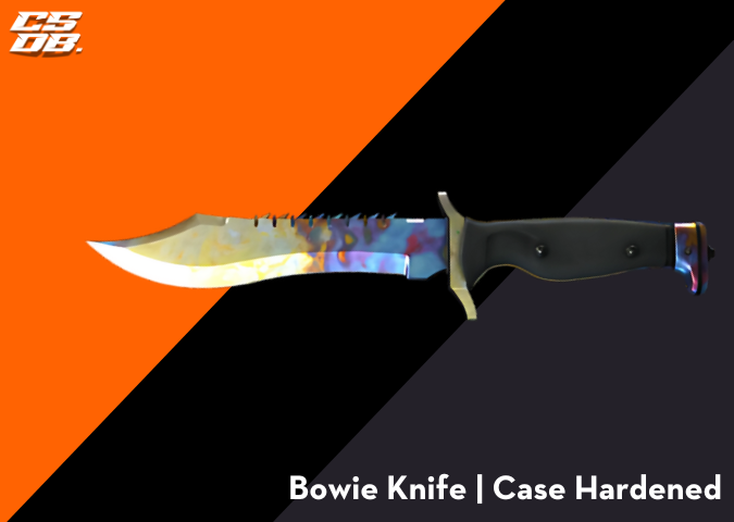 Bowie Knife _ Case Hardened