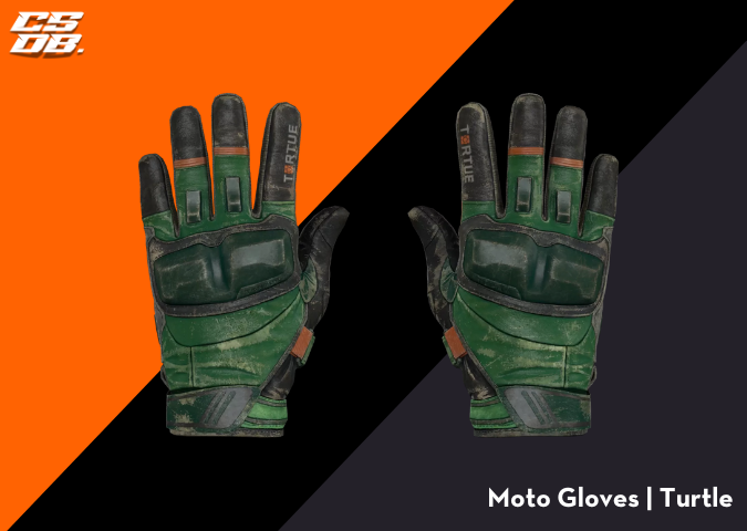 Moto Gloves _ Turtle