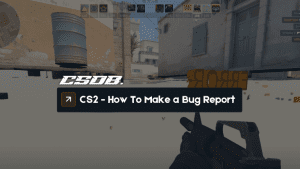 CS2 - How To Make a Bug Report