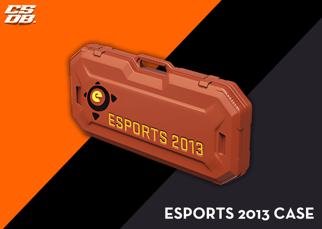 ESPORTS 2013 CASE