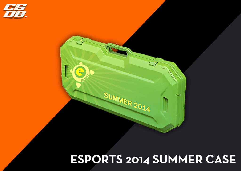 ESPORTS 2014 SUMMER CASE