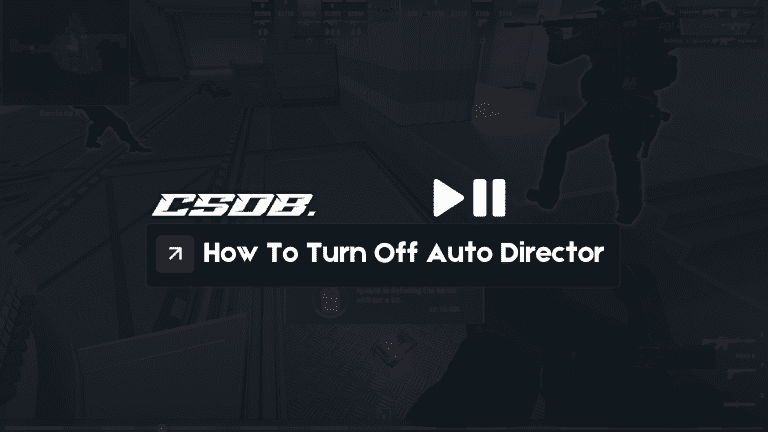 How To Turn Off Auto Director In CS2