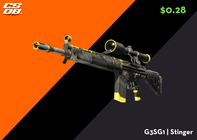 G3SG1 _ Stinger