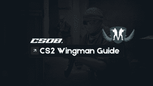 CS2 CSDB WINGMAN GRAPHIC