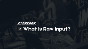 What Is Raw Input For CSGO