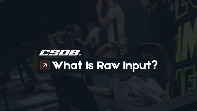 What Is Raw Input For CSGO and How Do I Enable It?