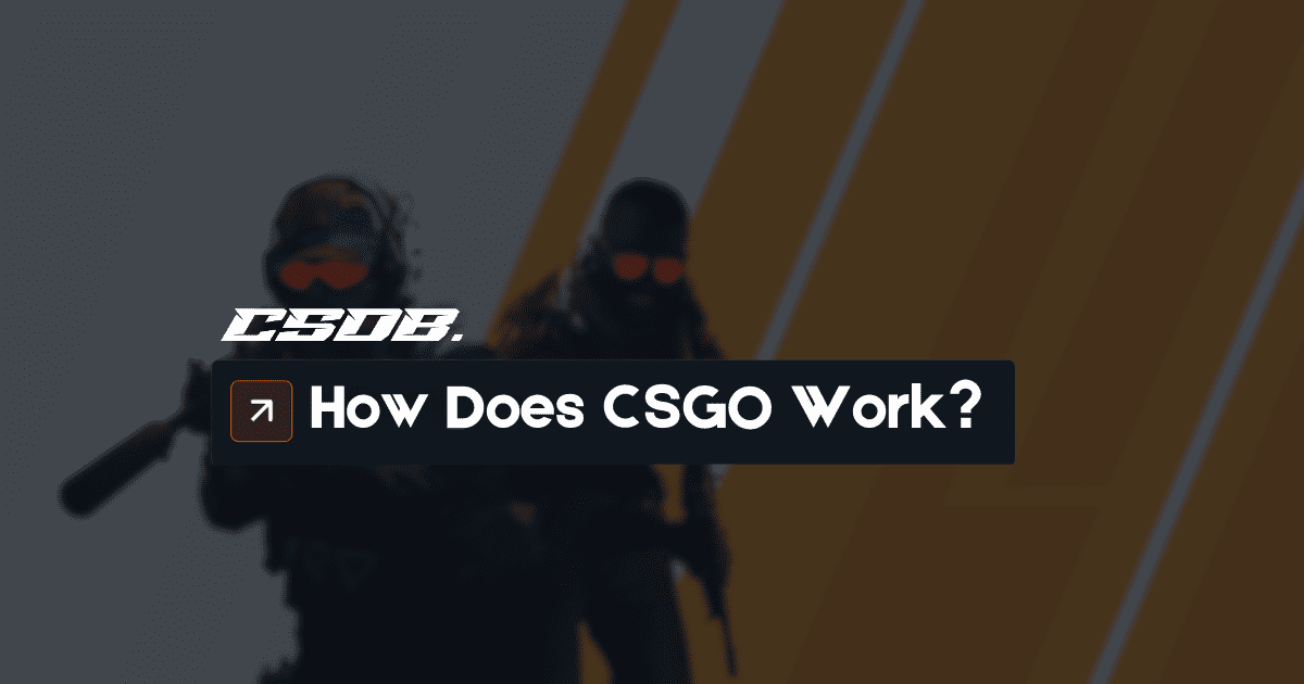 How Does CSGO Work?