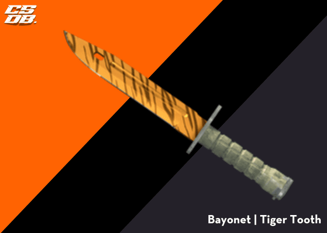 Bayonet _ Tiger Tooth