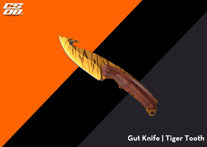 Gut Knife _ Tiger Tooth