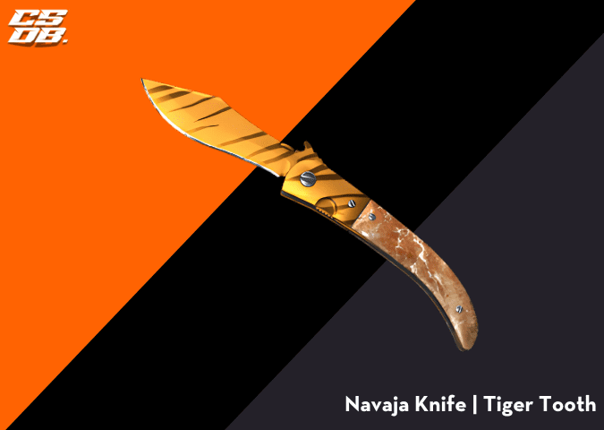 Navaja Knife _ Tiger Tooth