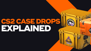CS2 Case Drops Explained