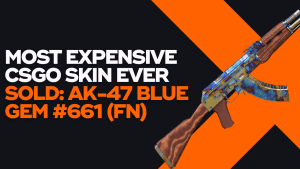 Most Expensive CSGO Skin Ever Sold AK-47 Blue Gem 661 FN