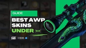 Best AWPSkins Under $10