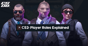 CS2 Player rOLES