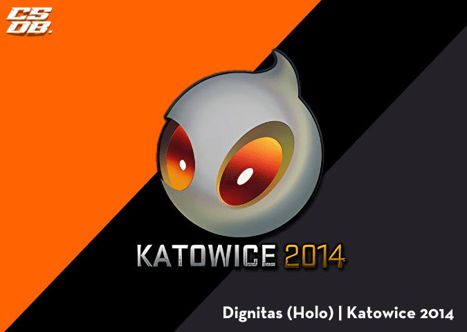 Dignitas Holo _ Katowice 2014
