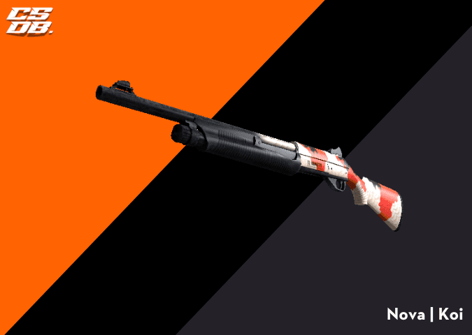 Nova _ Koi