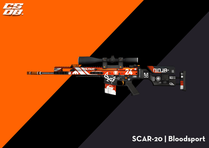 SCAR-20 _ Bloodsport
