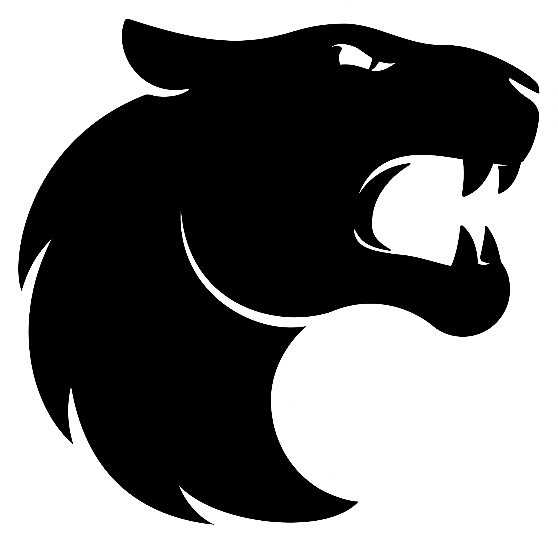 FURIA eSports