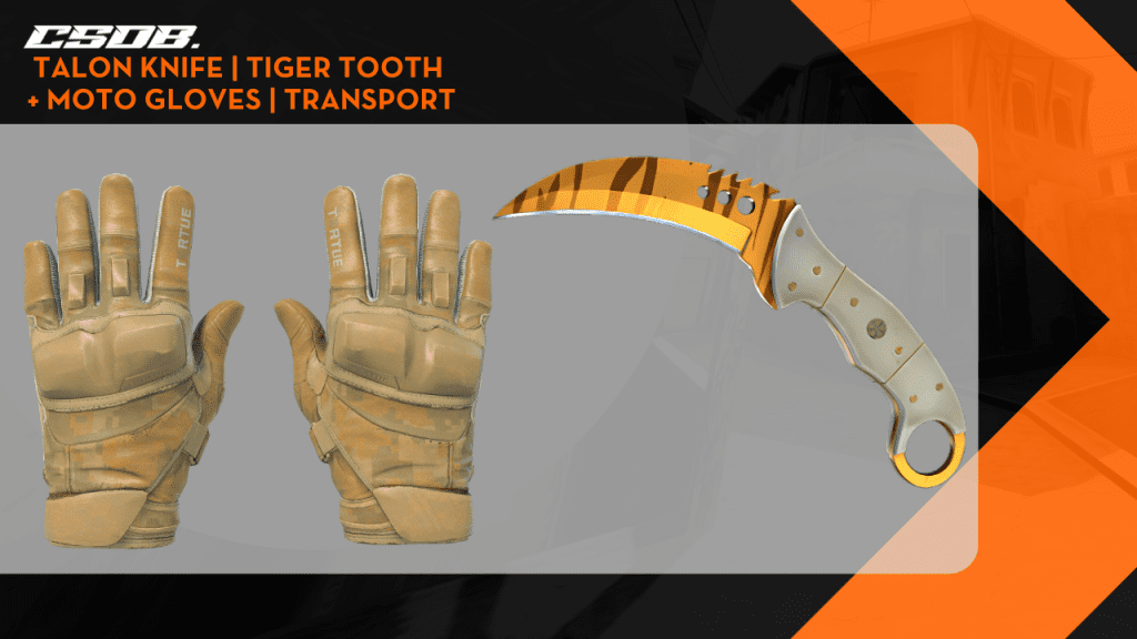 Talon Knife _ Tiger Tooth + Moto Gloves _ Transport