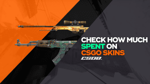 check how much spent on csgo skins
